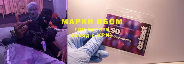 ПСИЛОЦИБИНОВЫЕ ГРИБЫ Алзамай
